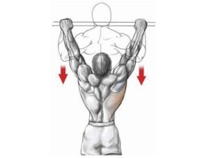 gladious, Top back workout tips by gladious, Top 5 Back Workout Tips by Gladious, Back workout, workout tips, back workout tips by gladious, workout tips by gladious