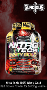 Nitro Tech 100 Whey Gold-Best Protein Powders of 2020
